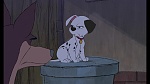 101 Dalmatians II: Patch's London Adventure picture