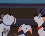 101 Dalmatians :  picture