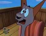 101 Dalmatians :  picture