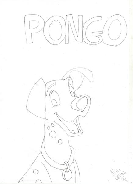 Pongo