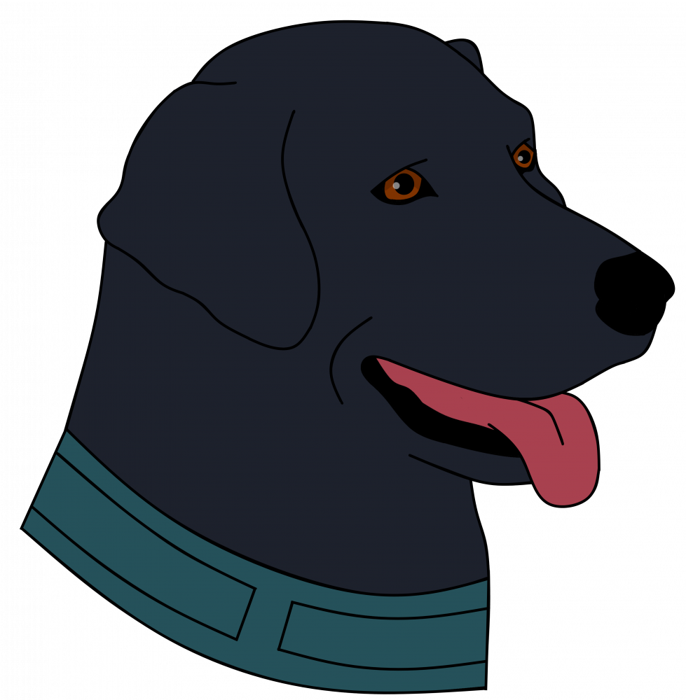 Labrador