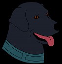 Labrador