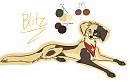 Full body ref