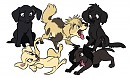 Lucille and Labrador's first litter