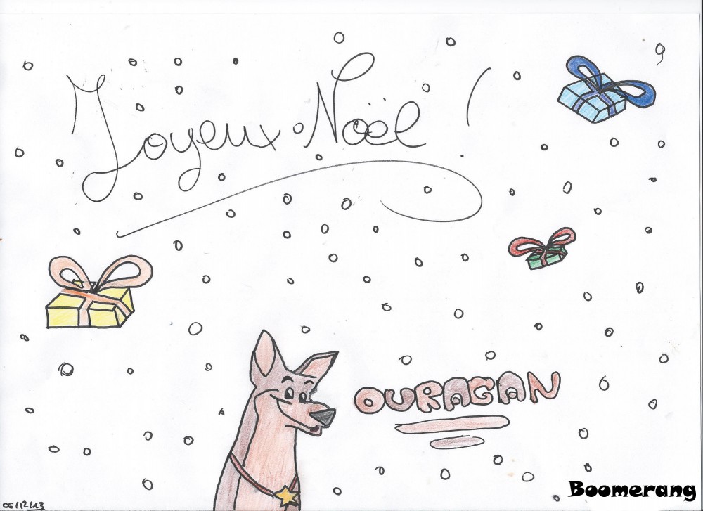 Un noël pour ouragan!