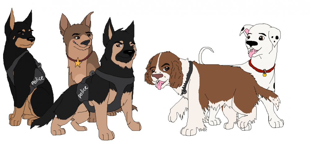 The Gang
