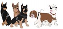 The Gang