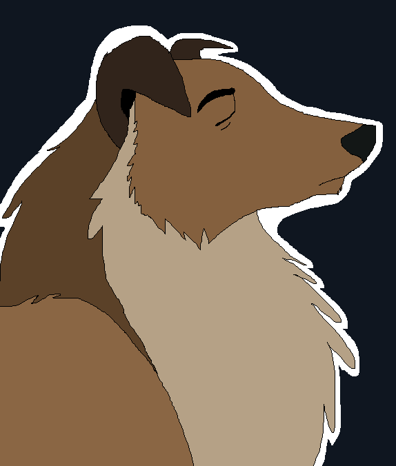 The Collie