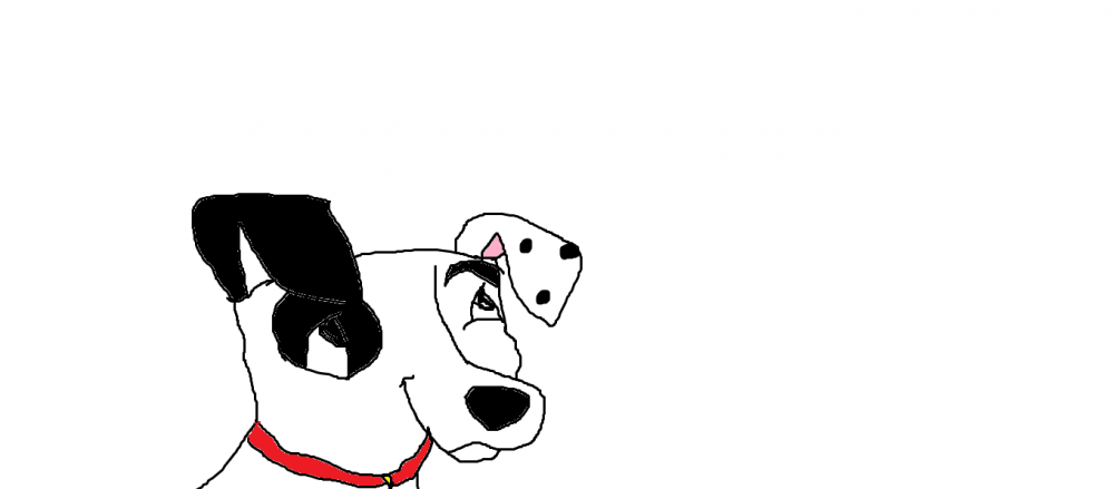 Patch!