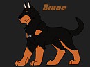 Big bad Bruce