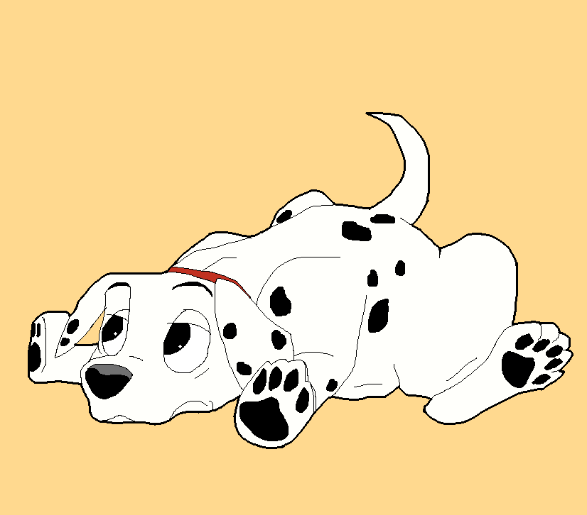 Rolly lying down