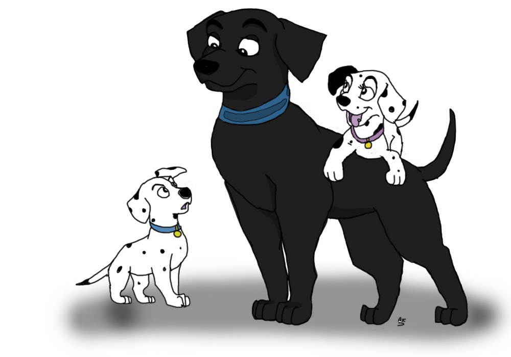 Labrador and puppies