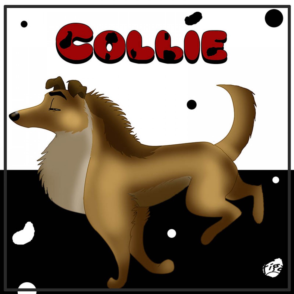 Collie le héro