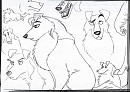 Brouillon de Collie