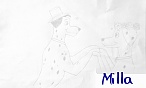 Milla