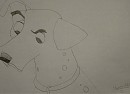 Profil de Pongo