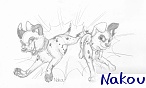 Nakou