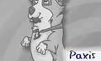 Paxis