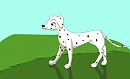Perdita