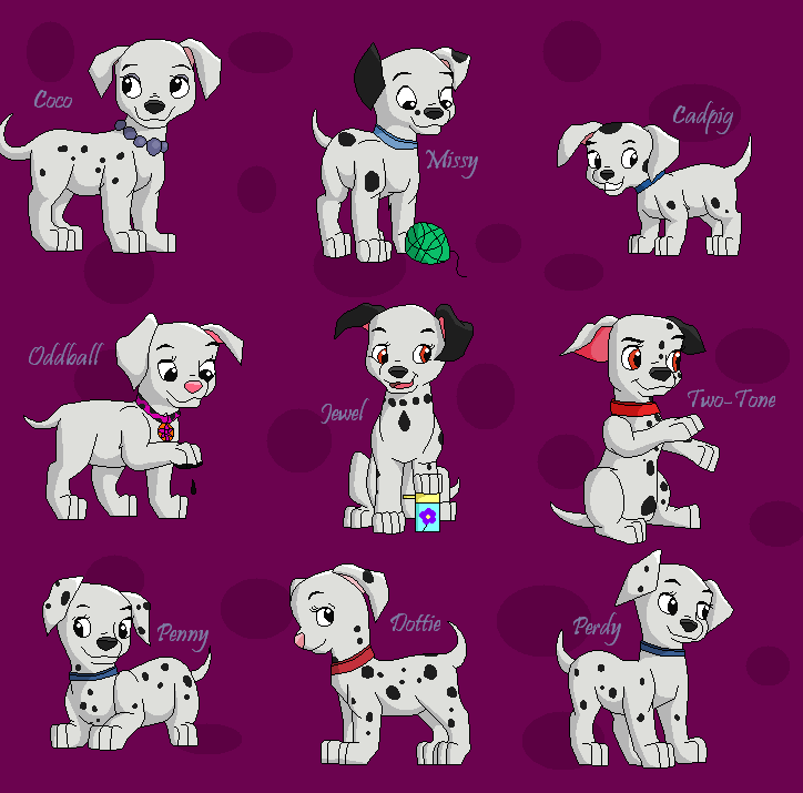 Girl puppies