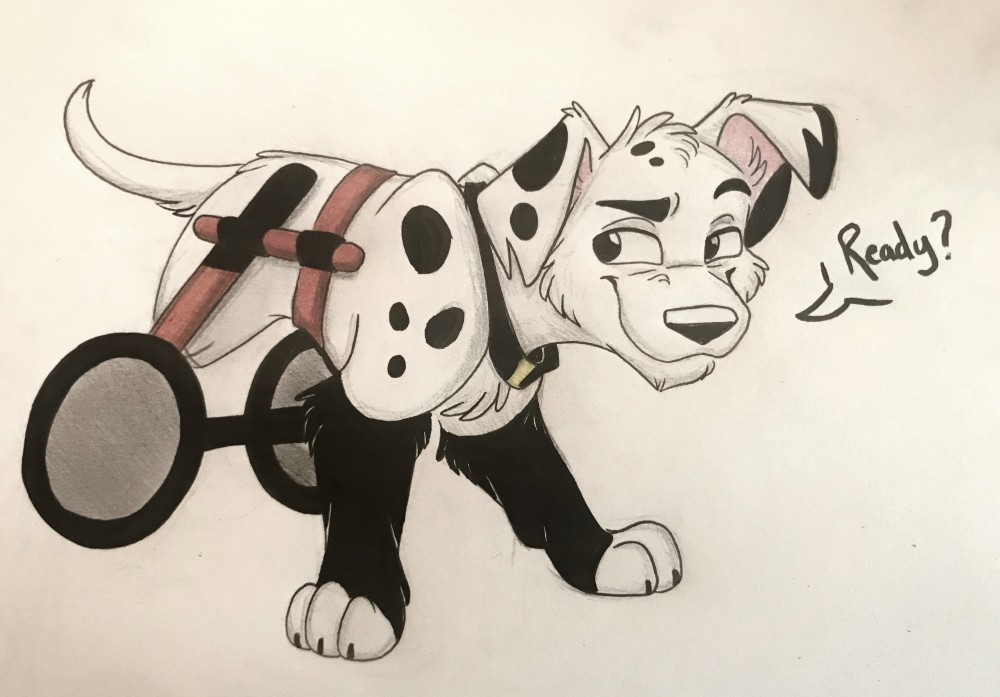 Delgado