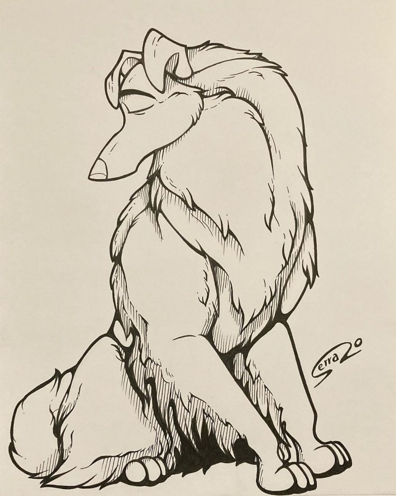 Collie