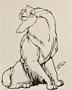 Collie