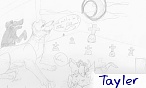 Tayler