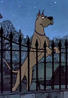 Detail Danny (The Great Dane)