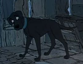 Detail Labrador