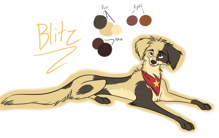 Detail Blitz