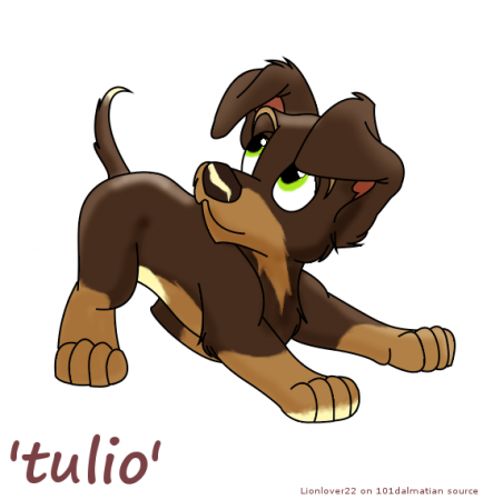 Detail Tulio(LL)