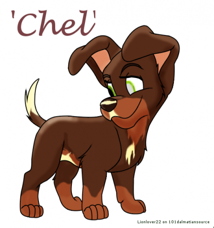 Detail Chel(LL)
