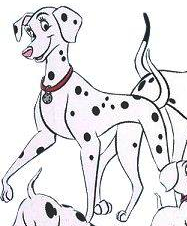 Detail Dottie