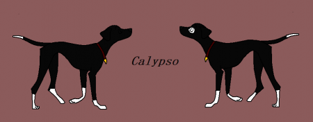Detail Calypso