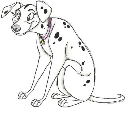 Detail Kate (FidoPaws)