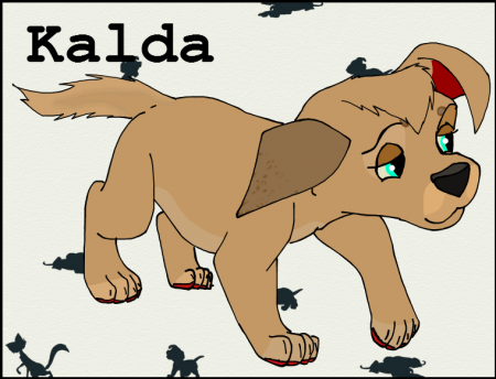 Detail Kalda