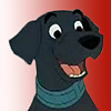Labrador