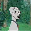 Chancey (Chance)