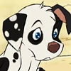 Buster