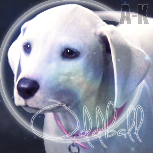 Oddball Avatar