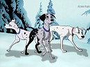 In My Own Design -Cadpig, Two-Tone, Oddball-