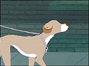  My first walk with my new owner?!?!?!? 