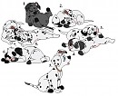 Adam and Sabine Fan Pups