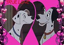 True love 
