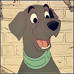 Black Lab Avatar