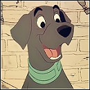 Black Lab Avatar