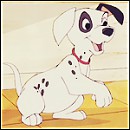 Patches!