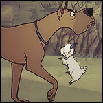Danios Avatar