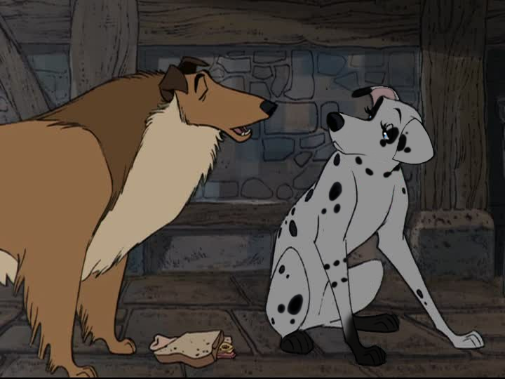 Petti & Collie